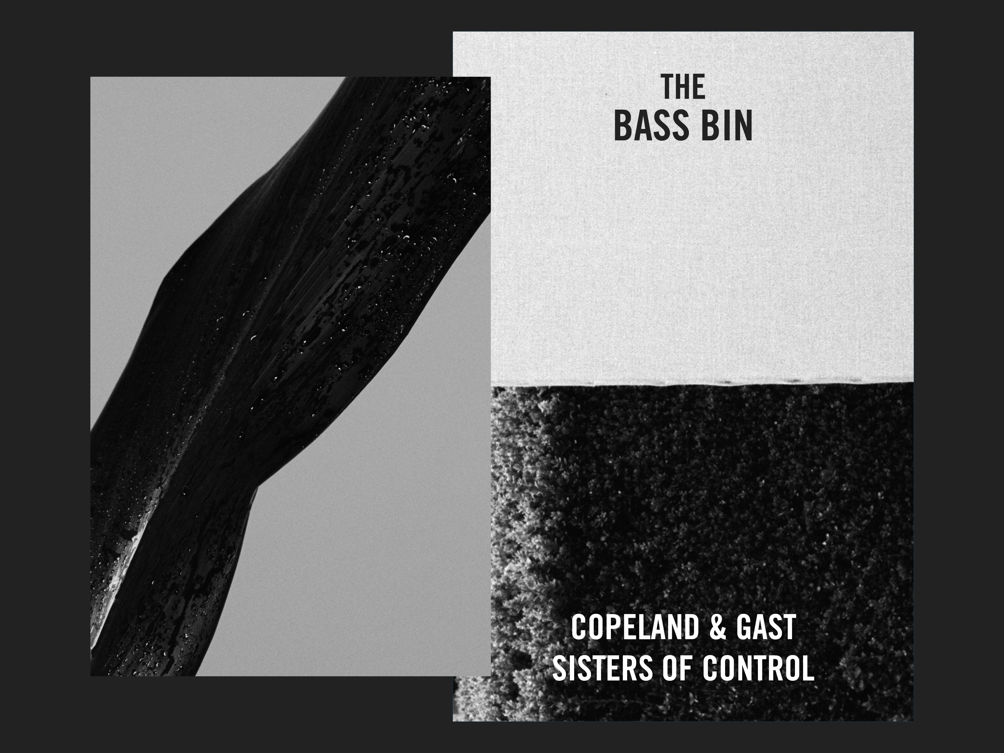 Copeland & Gast, Sisters of Control, Sub, Dub, Steppas, Blackest Ever Black, All Bone Records, John T Gast, Inga Copeland, Hype Williams